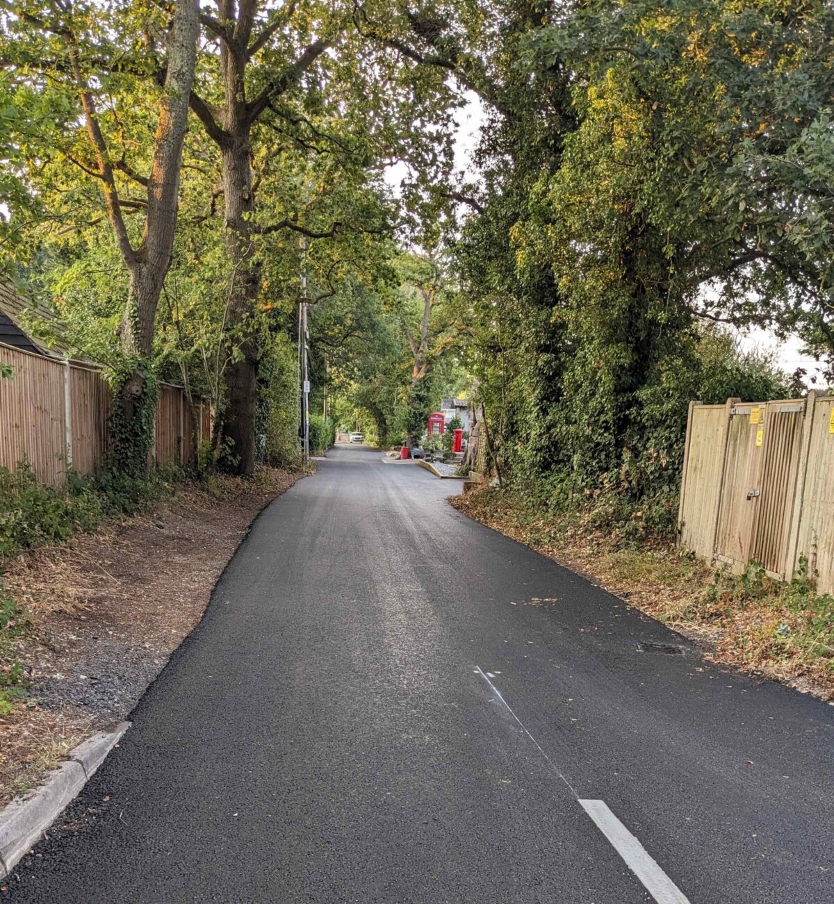 Birch Lane-22-07-26